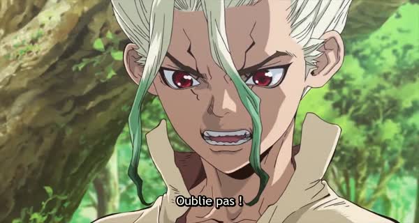 Dr. Stone