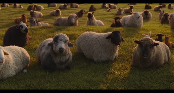 The Sheep Detectives